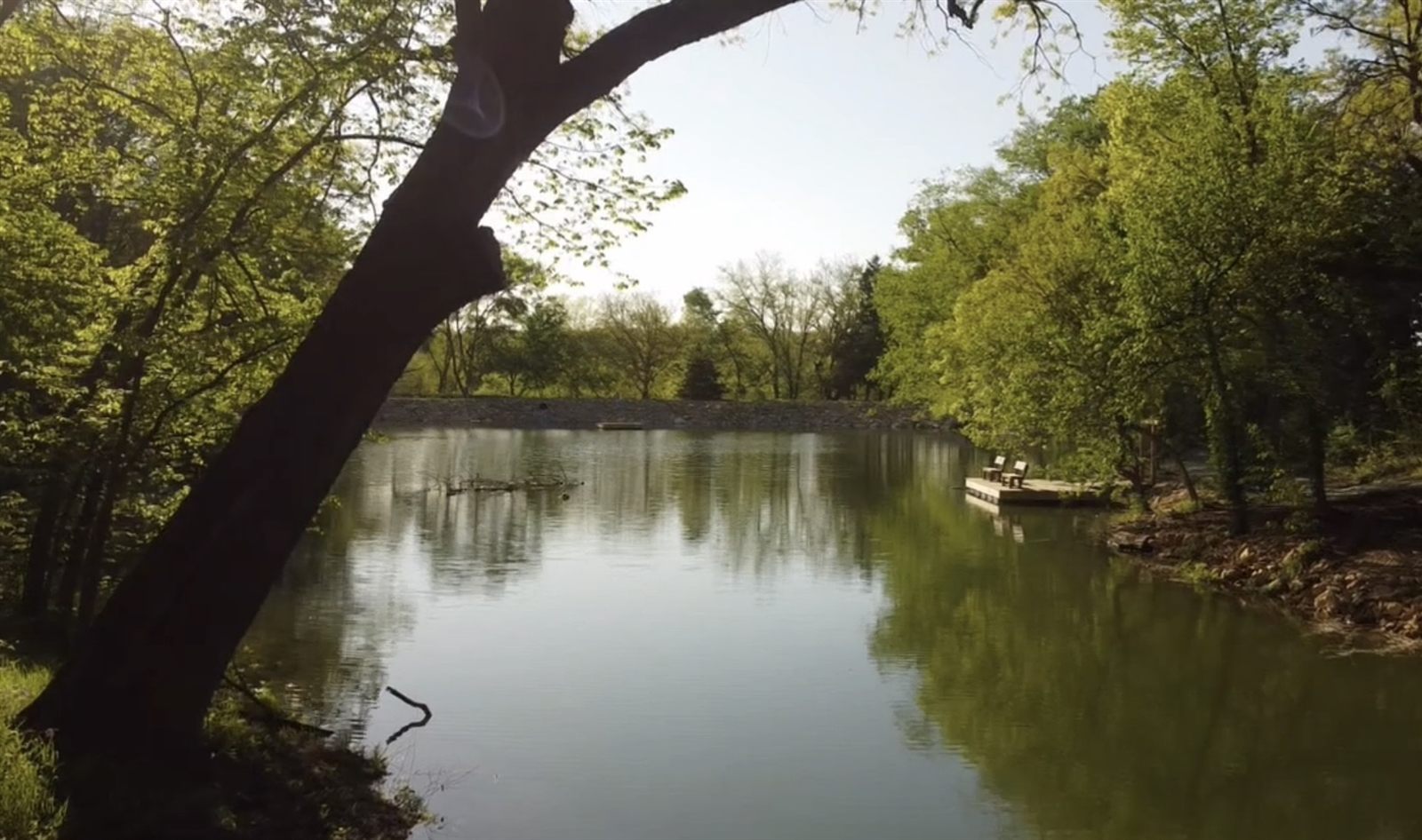 The stocked lake and dock, ringed by trees